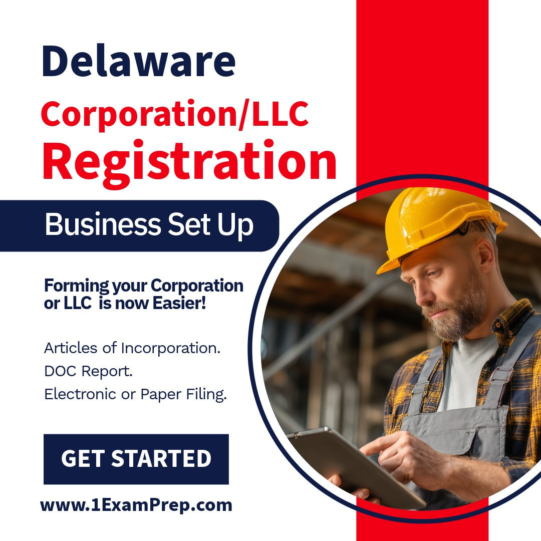Delaware Corporation or LLC Filing Registration Formation Setup